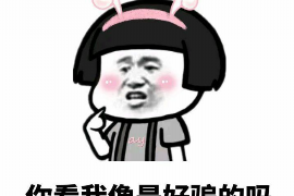 宿松宿松专业催债公司，专业催收